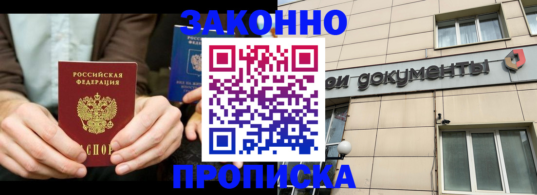 прописка поиск в Купино